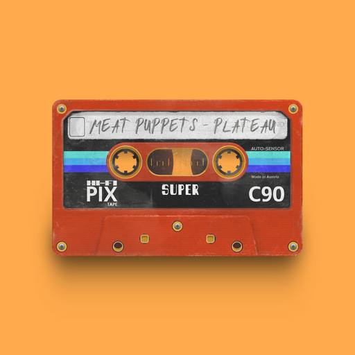 06223 - Meat Puppets - Plateau